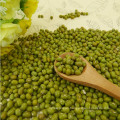 hot sales polished grade Green mung beans for sale